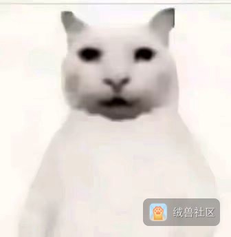 墨崽✙在绒兽社区发布的公开动态图片