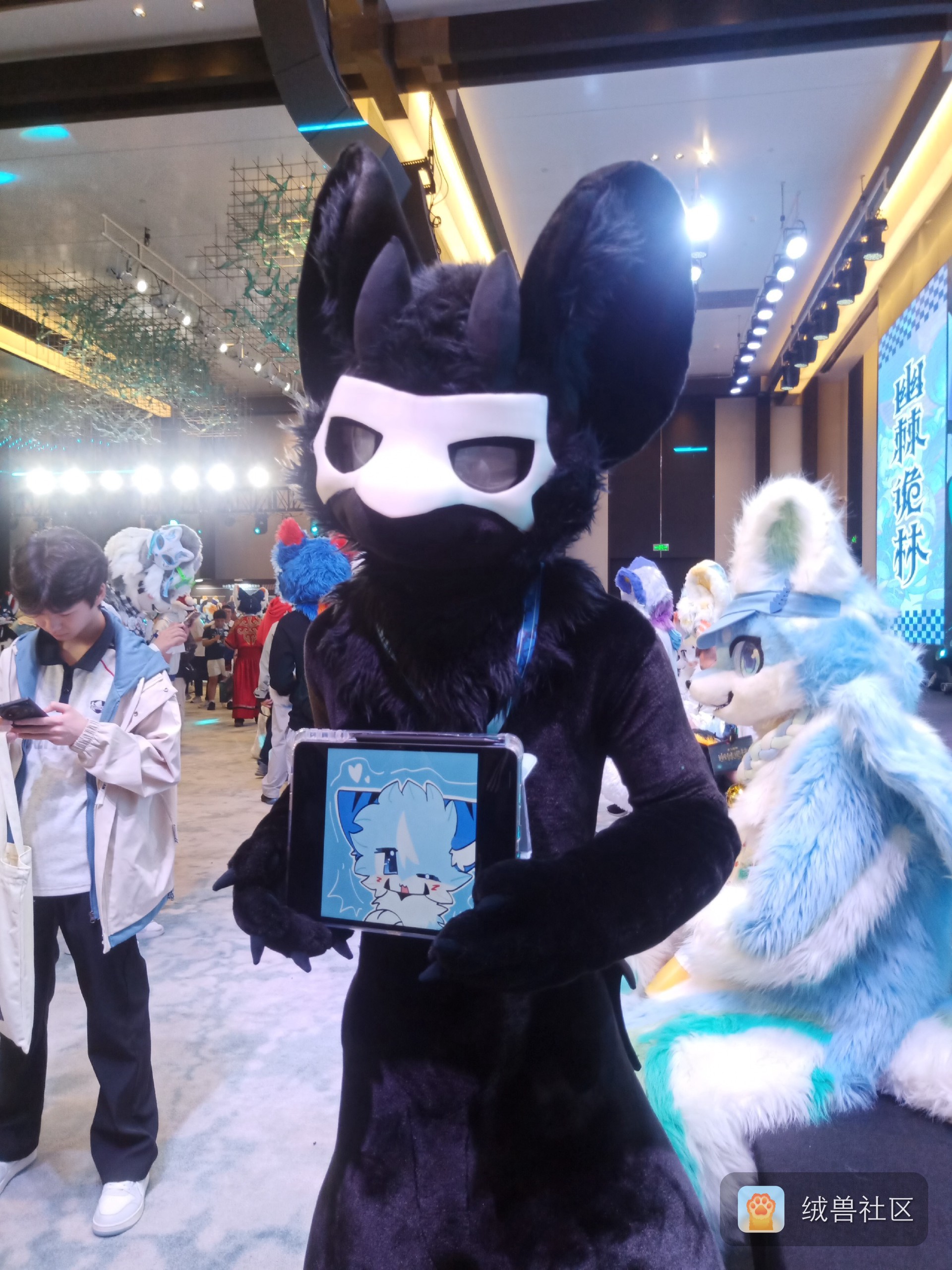 随风而遇_FURRY在绒兽社区发布的公开动态图片