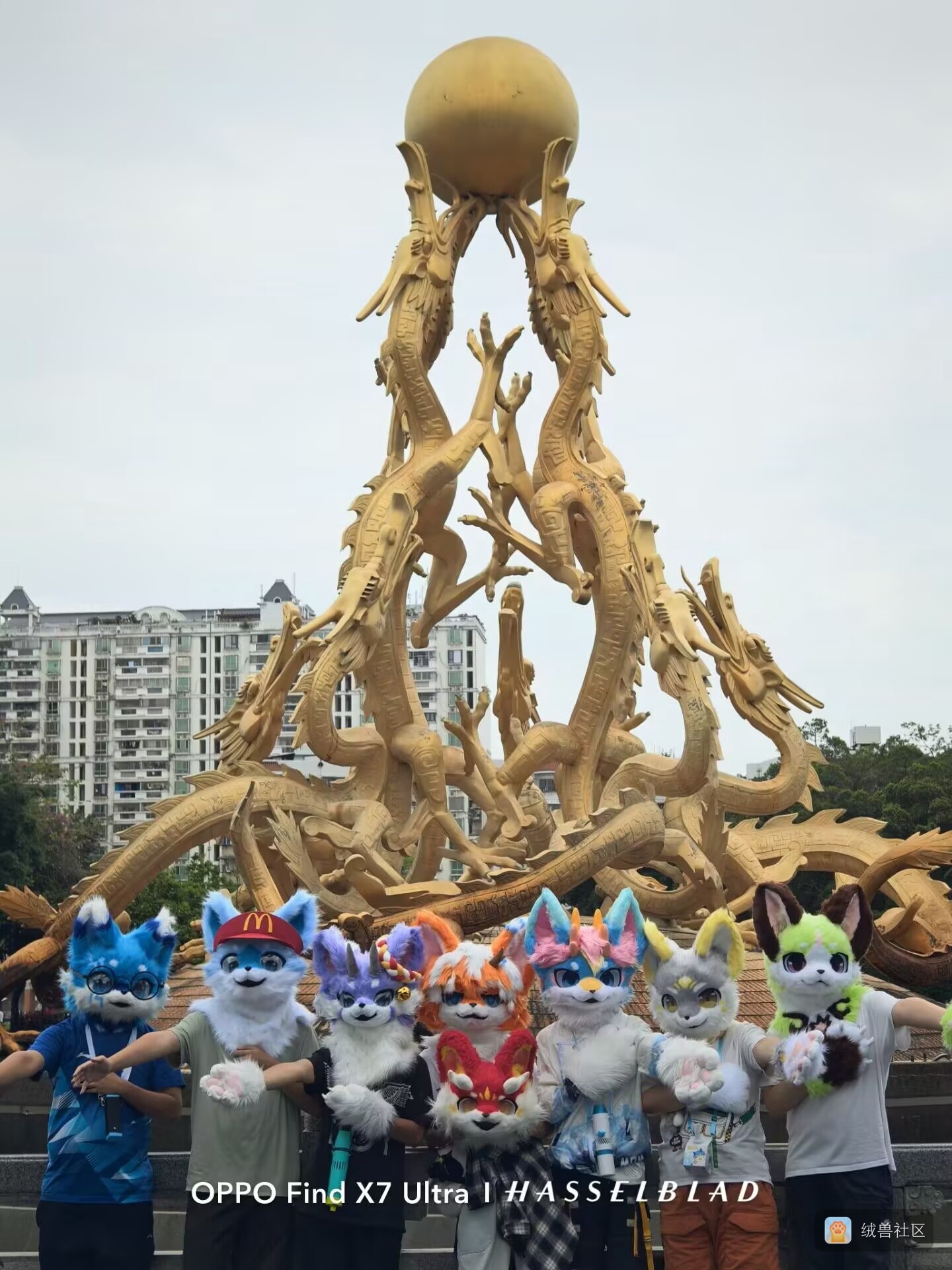 䒧沧在绒兽社区发布的公开动态图片