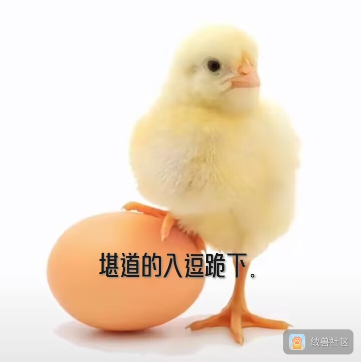 心悸在绒兽社区发布的公开动态图片