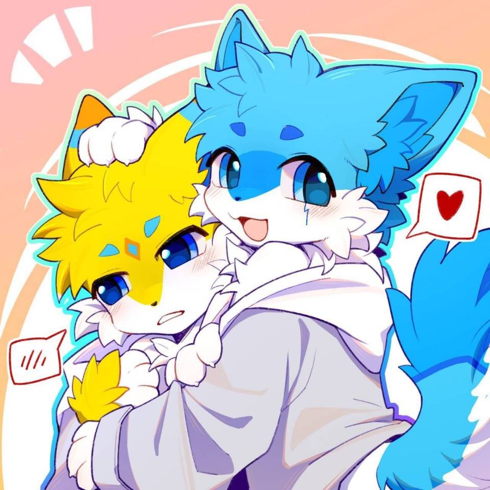 🐾屿辰&橘皮🐾的公开头像