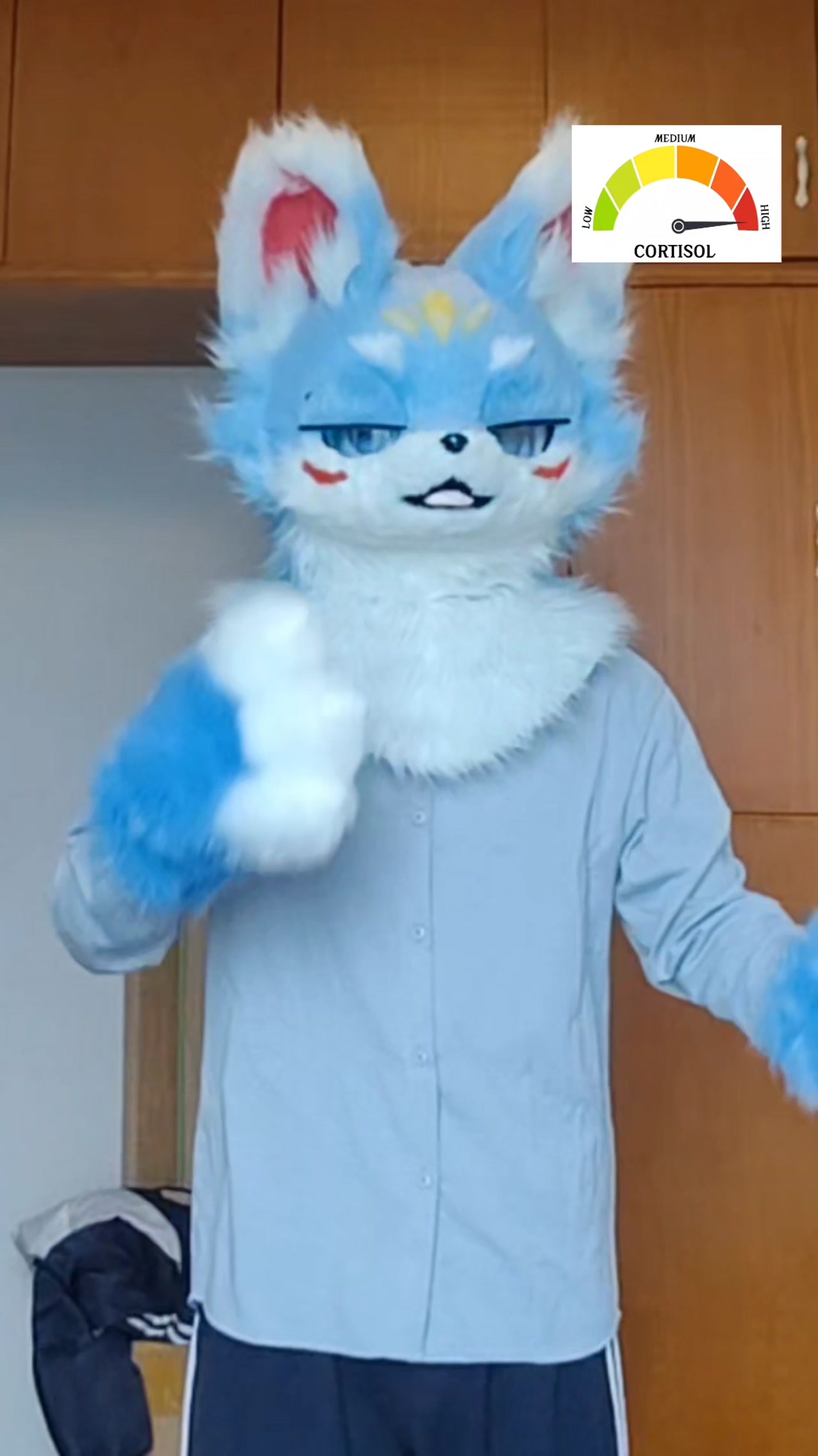 🐾澜泽🔜你家在绒兽社区发布的公开动态图片