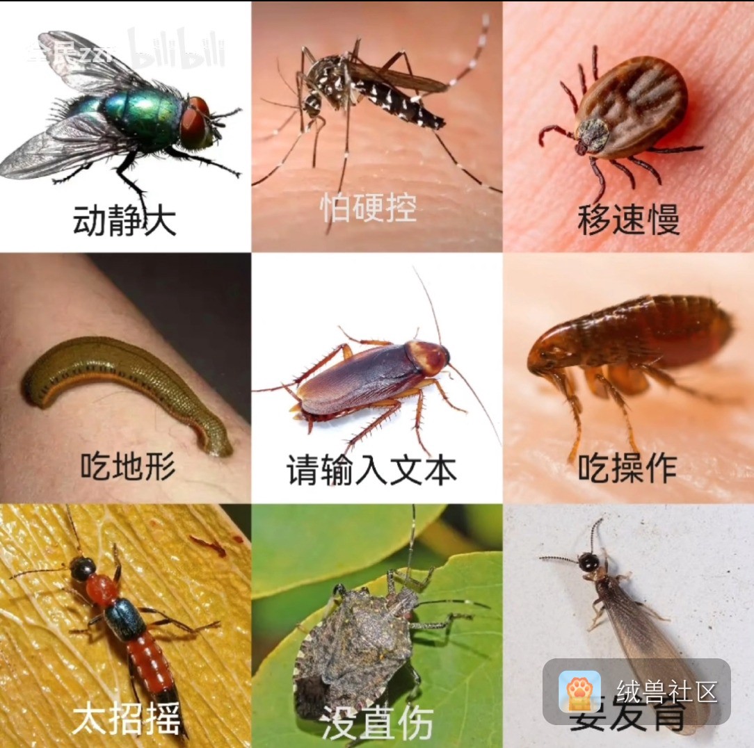 outsiderpeople在绒兽社区发布的公开动态图片