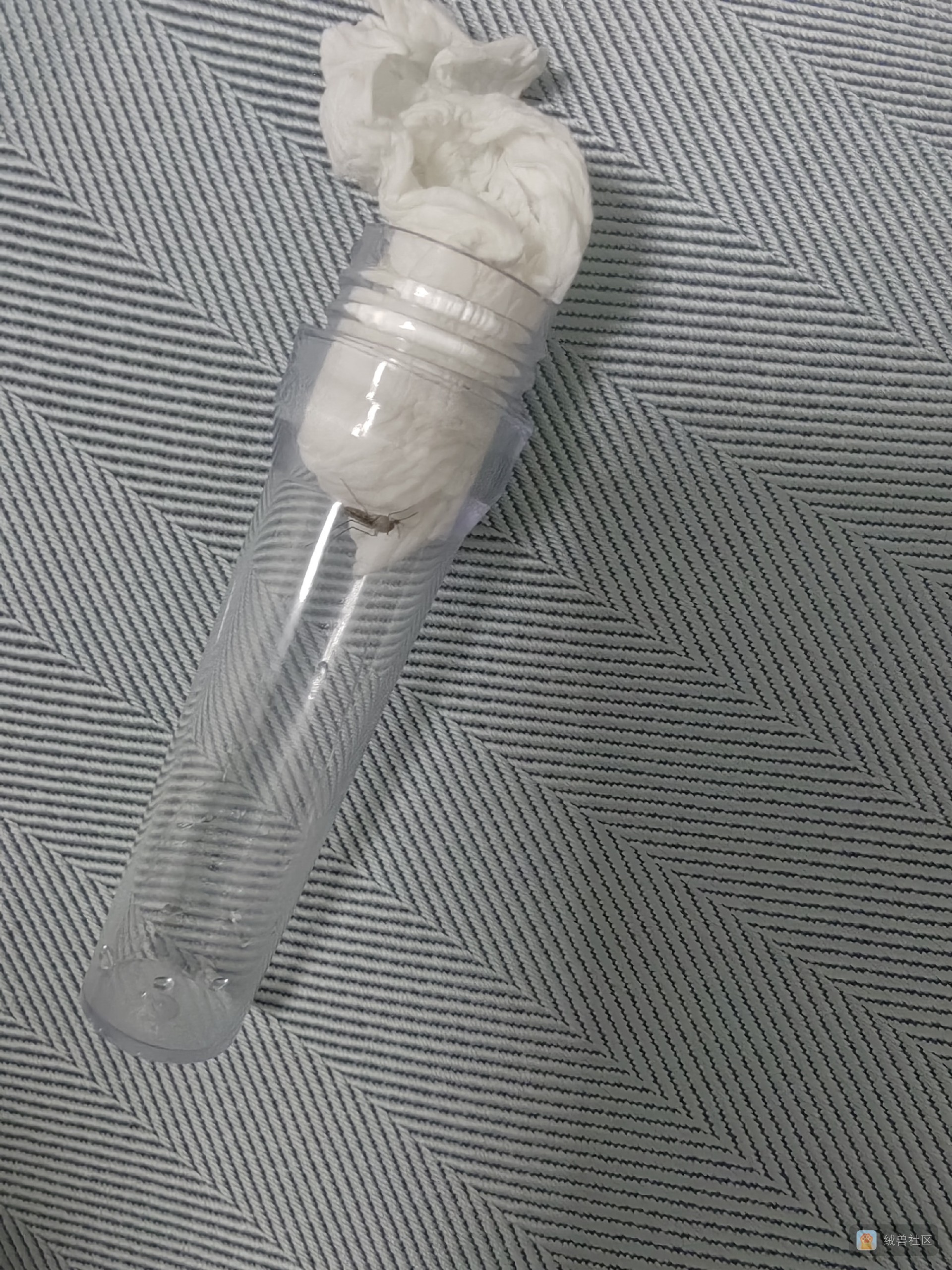 outsiderpeople在绒兽社区发布的公开动态图片