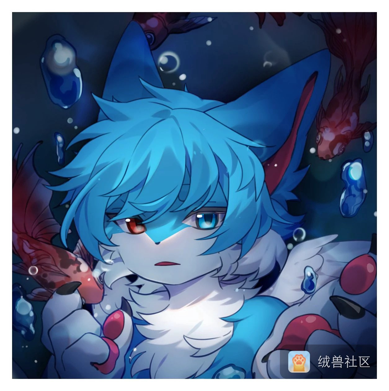 龍枫在绒兽社区发布的公开动态图片