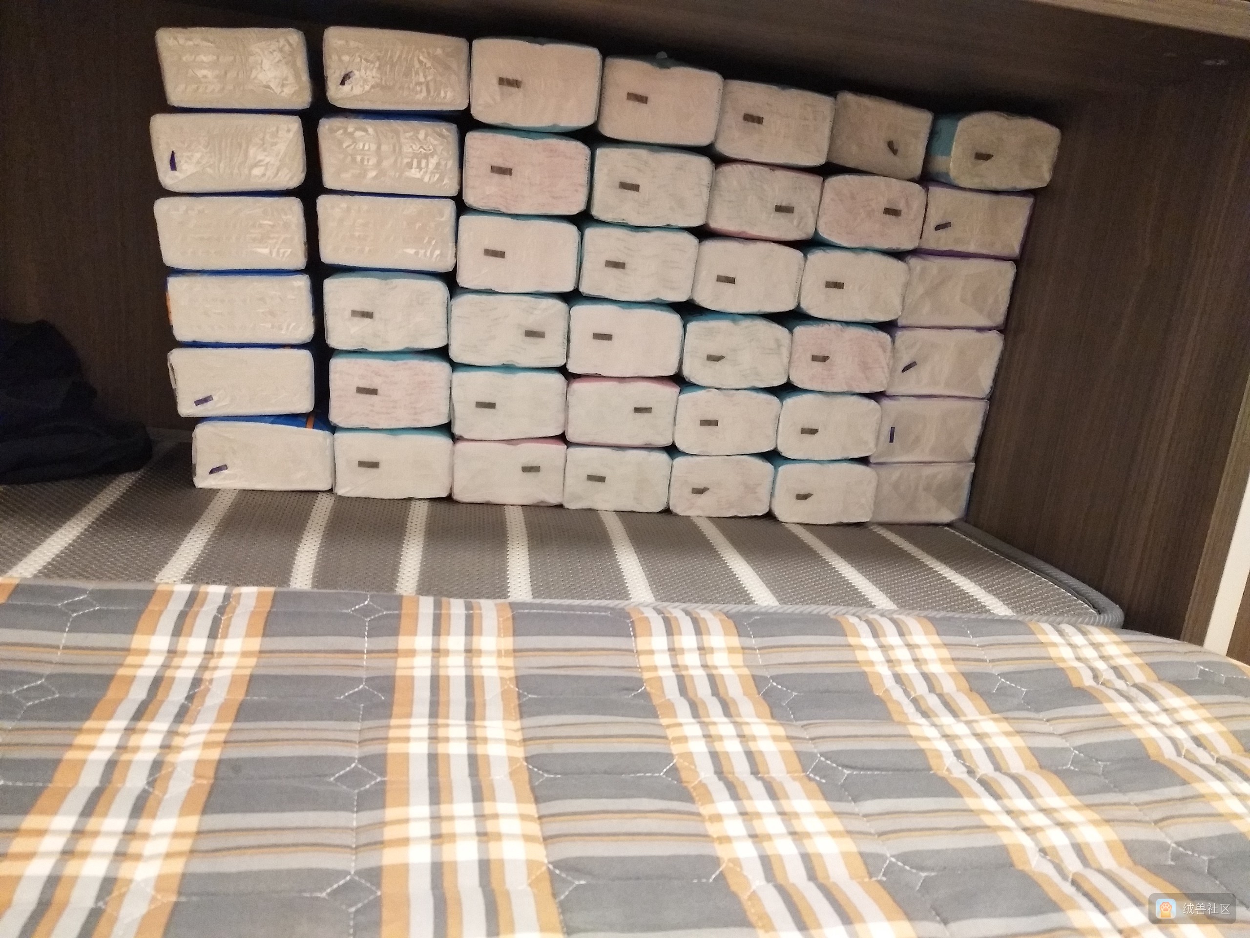 无名在绒兽社区发布的公开动态图片