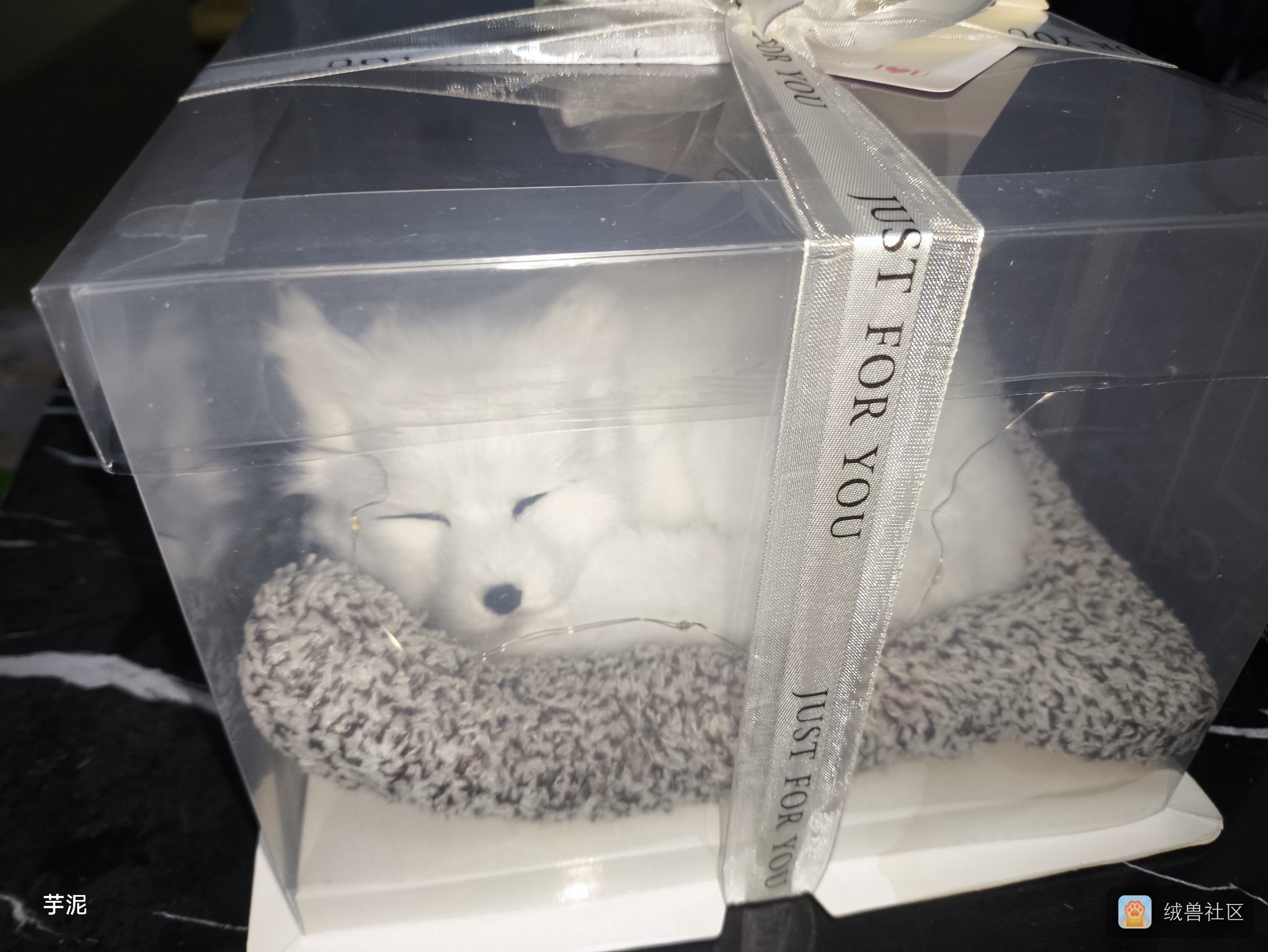 夜猫在绒兽社区发布的公开动态图片