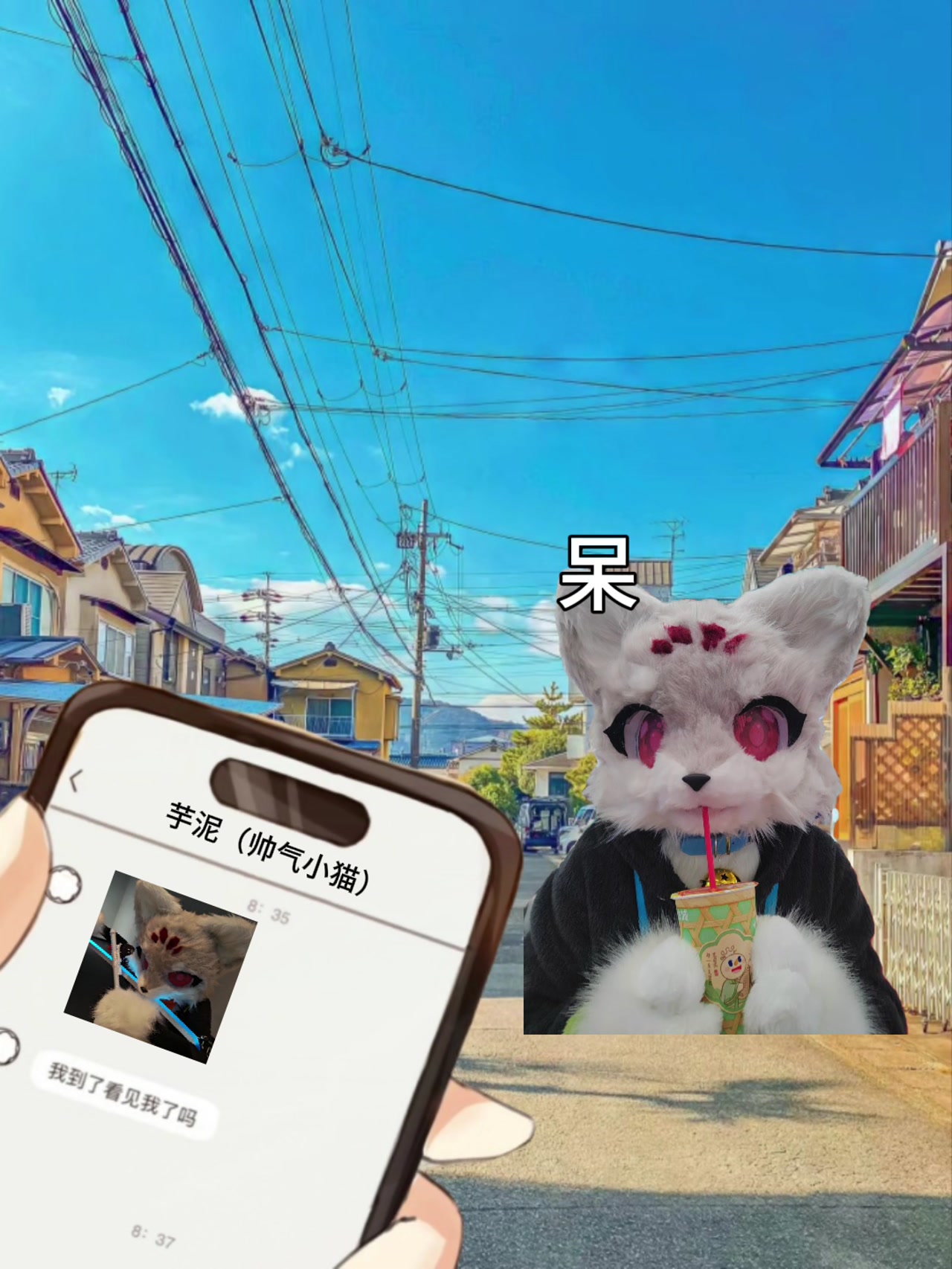 夜猫在绒兽社区发布的公开动态图片
