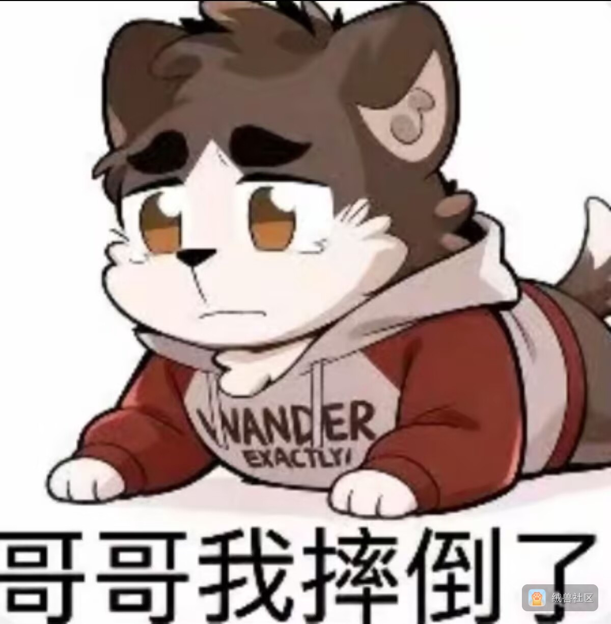 无能的阿瑜在绒兽社区发布的公开动态图片