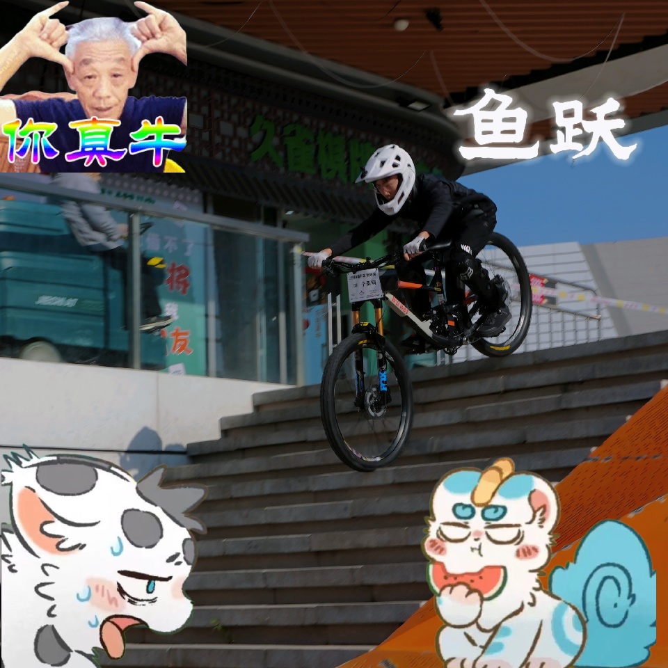 鱼跃的公开头像