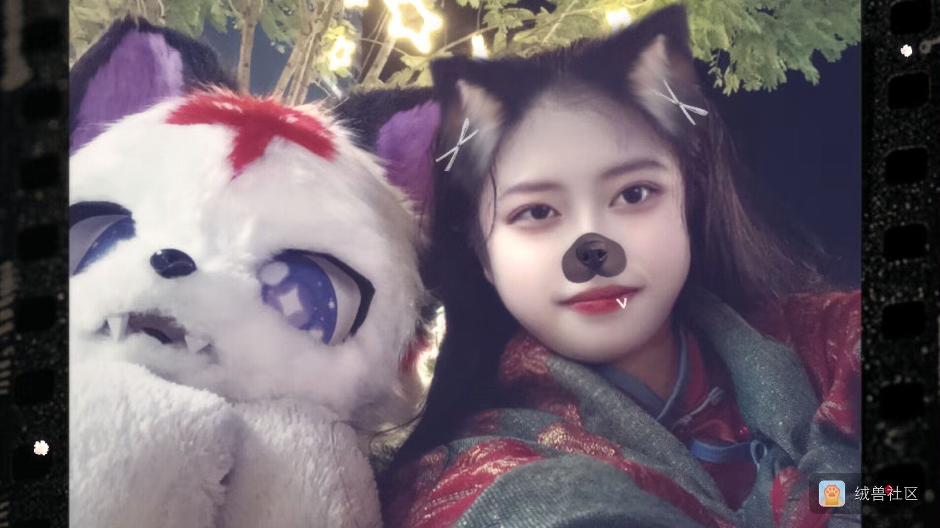 剑齿虎霍香在绒兽社区发布的公开动态图片