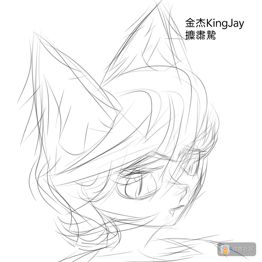 金杰KingJay在绒兽社区发布的公开动态图片